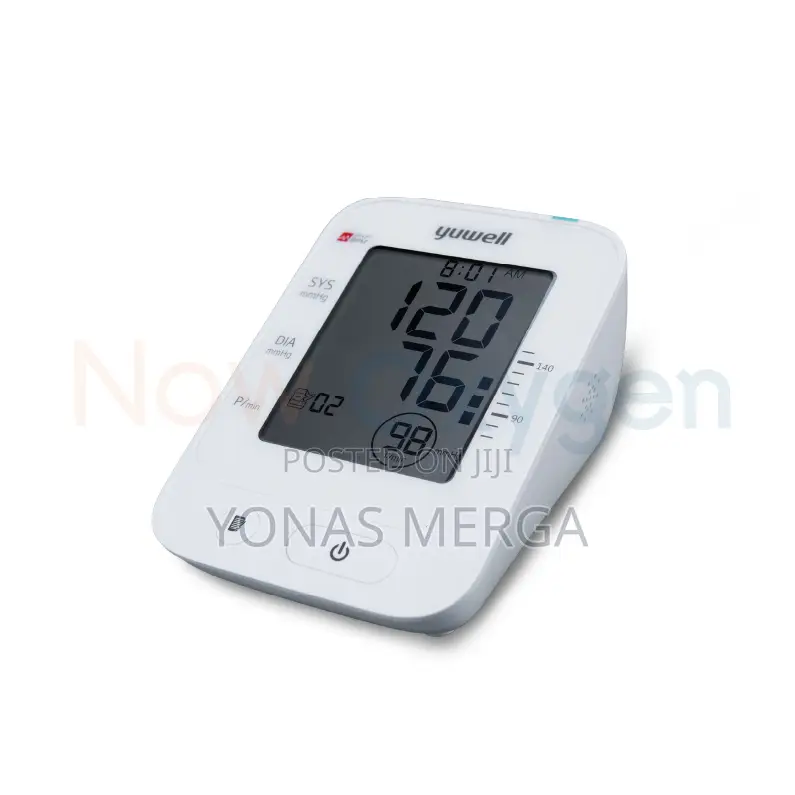 Electronic Blood Pressure Monitor台中european Standard Meet