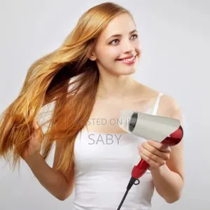 Promax Foldable Mini Hair Dryer