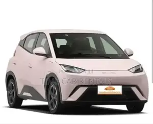 Urgent Rental Byd Seagull