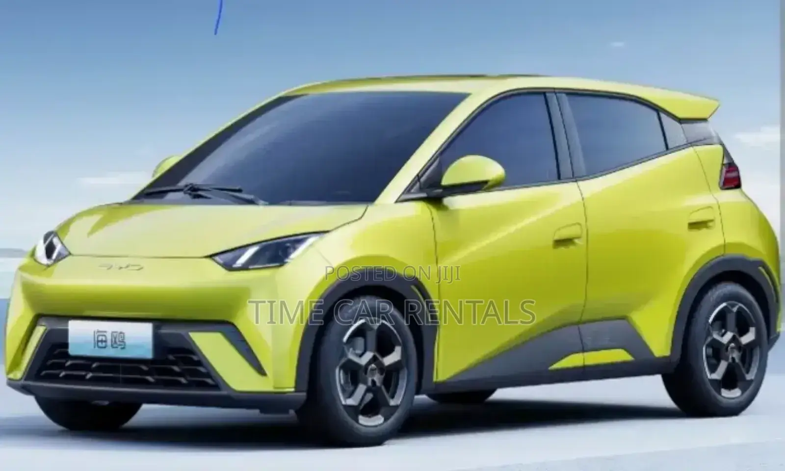 Urgent Rental Byd Seagull