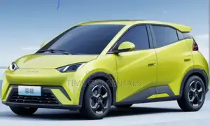 Urgent Rental Byd Seagull