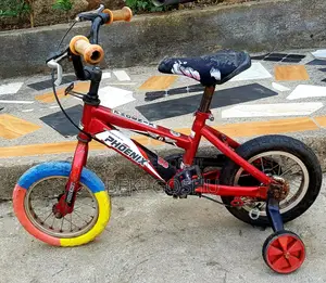 Phoniex Cycle Bkenash