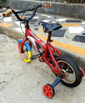 Phoniex Cycle Bkenash