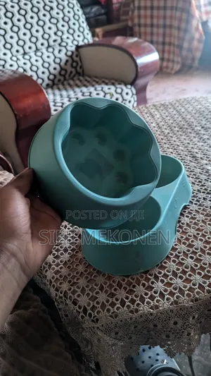 Bowl for Dogs