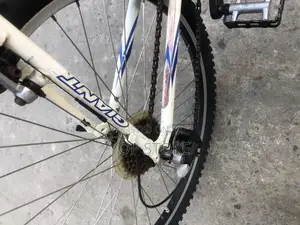 Photo - Giant Bicycle