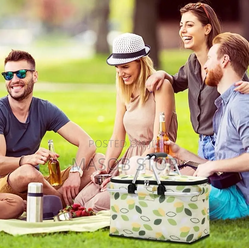 Portable Folding Insulation Basket