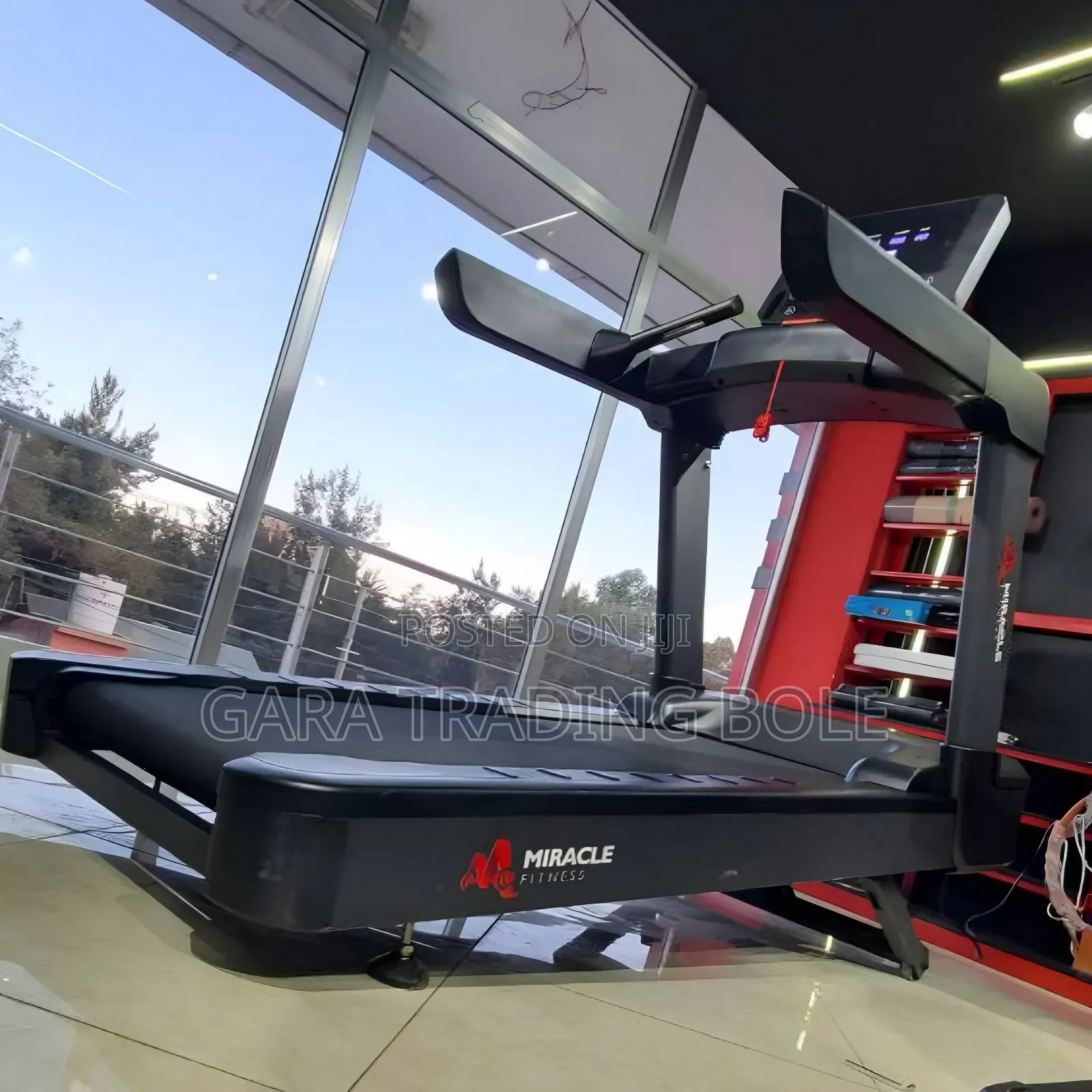 Miracle Fitness Treadmill Horse Power 7