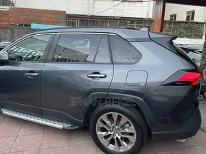 Toyota RAV4 2019 Gray