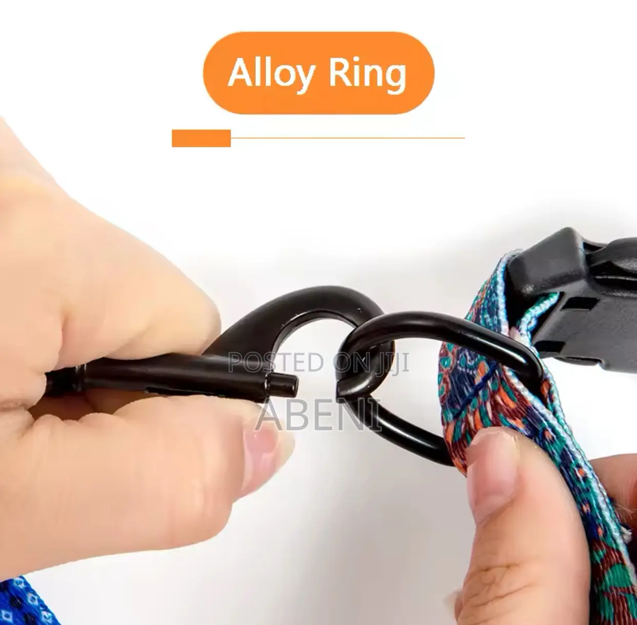 Dog Collar and Leashes