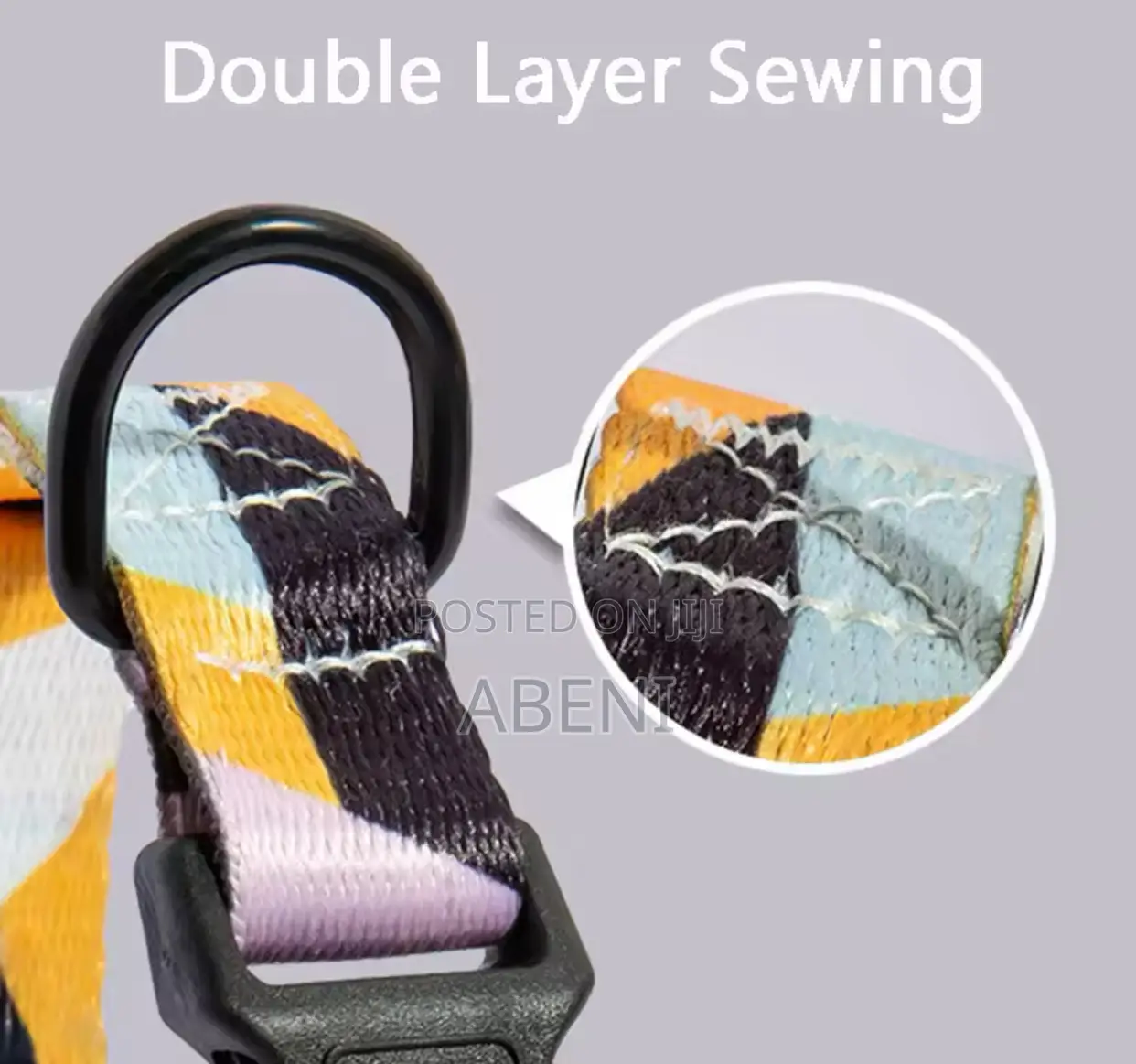 Dog Collar and Leashes