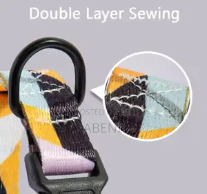 Dog Collar and Leashes