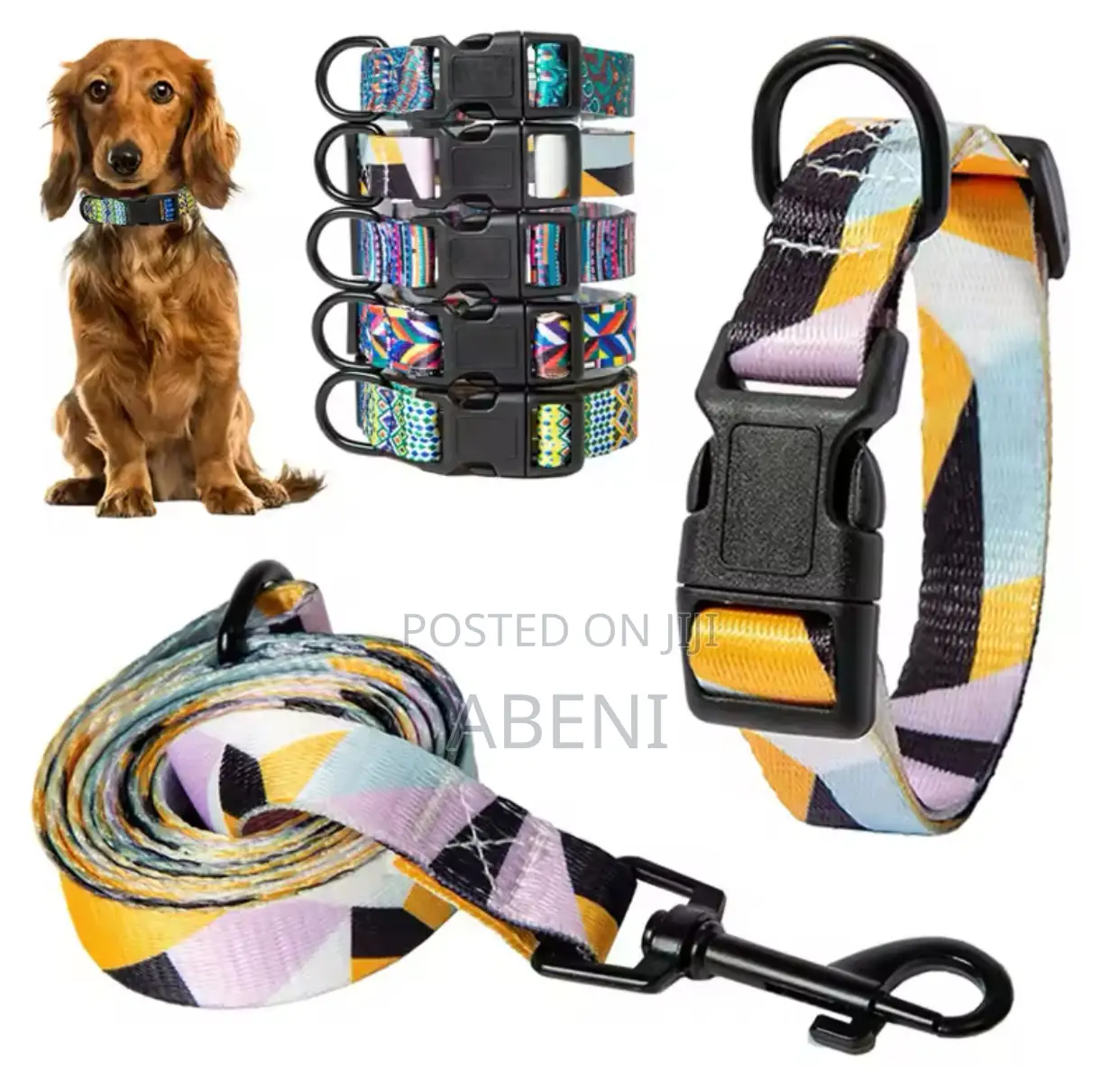 Dog Collar and Leashes