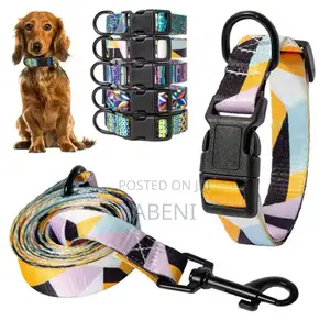 Photo - Dog Collar and Leashes