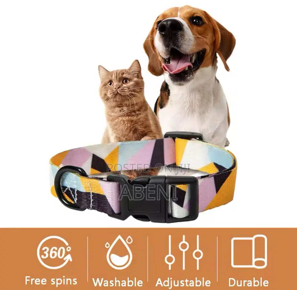 Dog Collar and Leashes