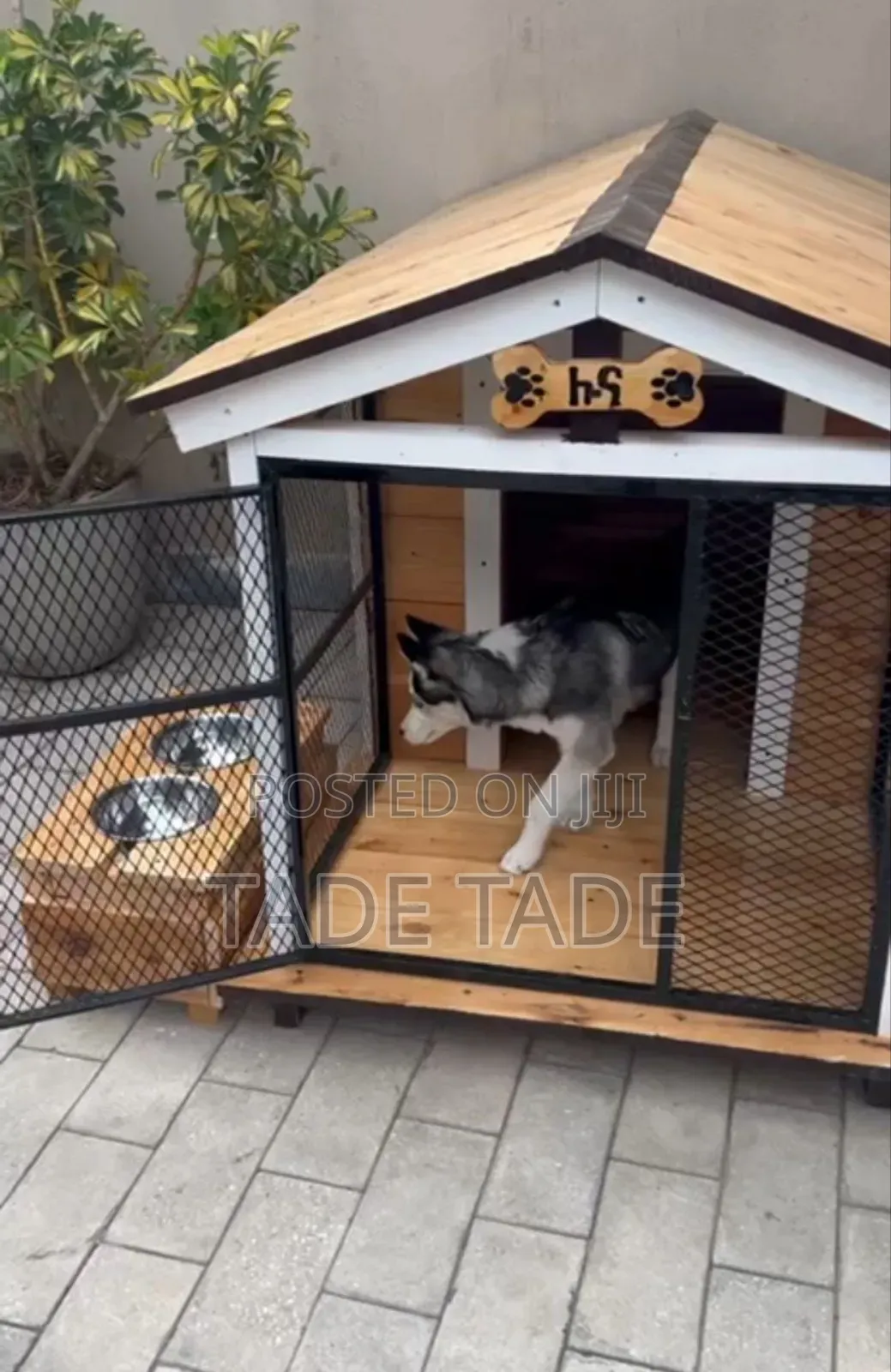 Amazing Dog House