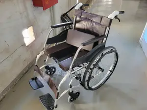 Wheelchair遻wheelchair Serves a Dual Purpose,Move Toilet