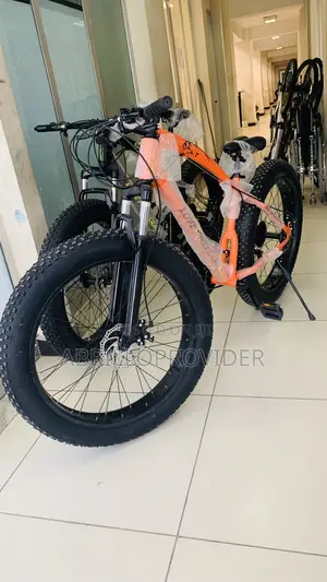 Strong Fat Tyre Bike for Adult1bicycle1bike1bicycle1bike1bik