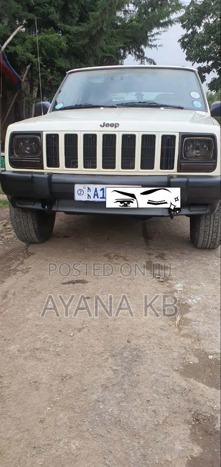 Jeep Cherokee 2001 White