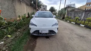 Urgent Rental Neta EV