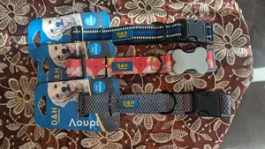 Photo - Collars for Dogs