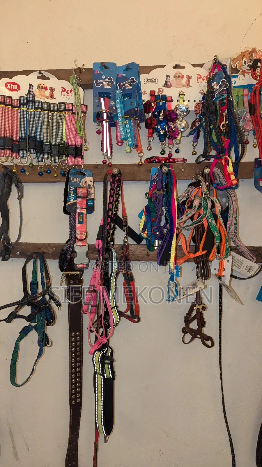 Cooler and Leash for Puppy's