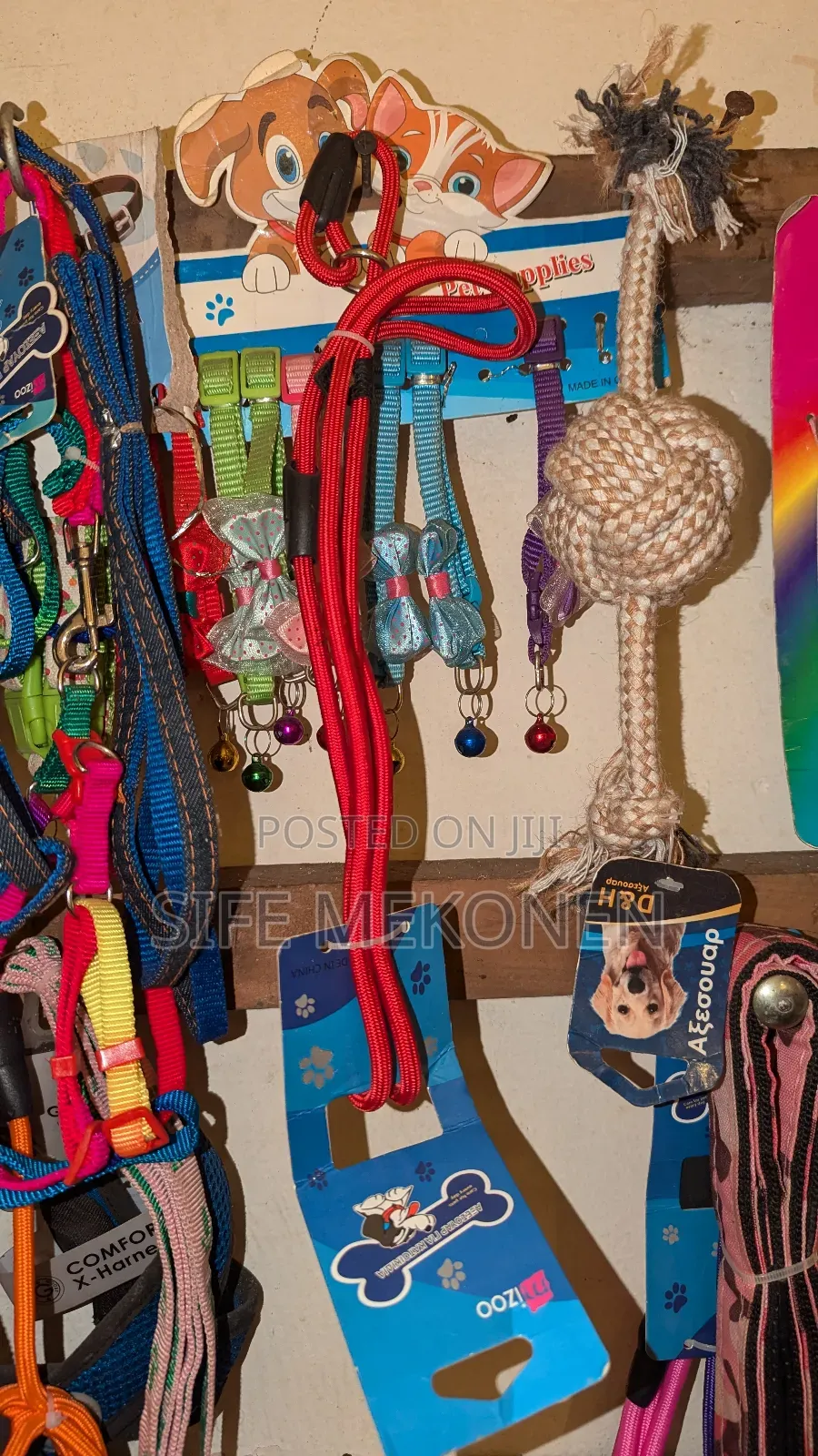 Cooler and Leash for Puppy's