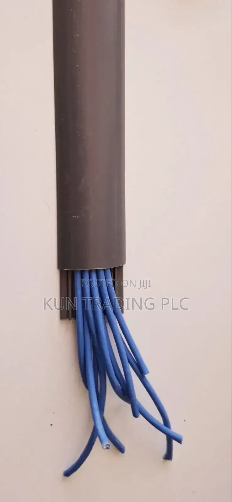 Floor Truncking 70x20mm