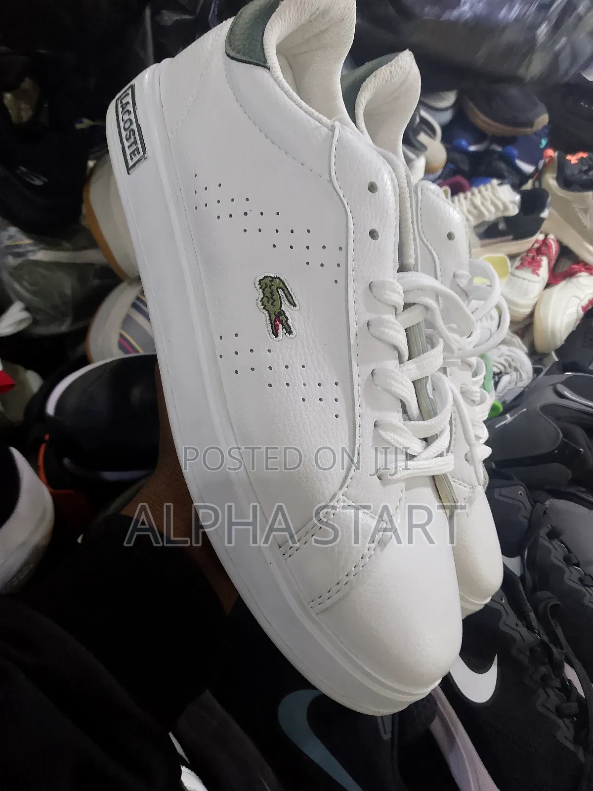Lacoste White Color Higher Quality Shoes for You