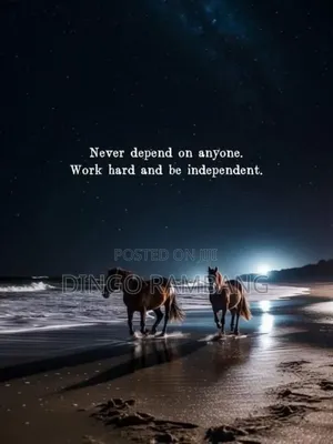 If You Need Any Professional CV for Any CV.