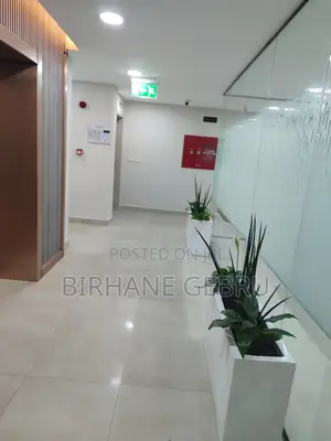 Luxury Apartiment Rent for Office