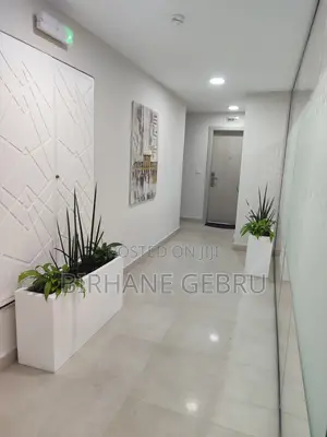 Luxury Apartiment Rent for Office