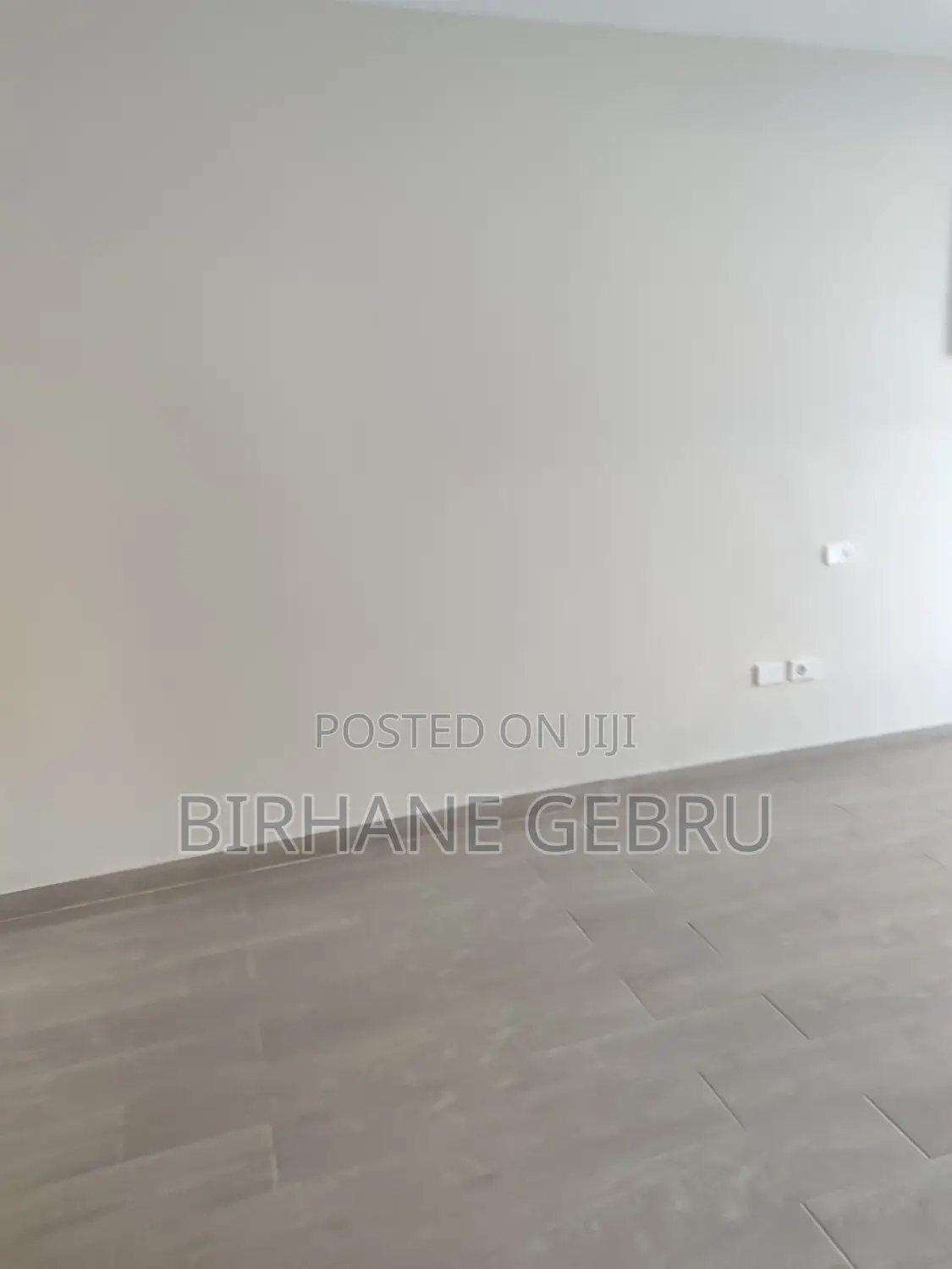 Luxury Apartiment Rent for Office