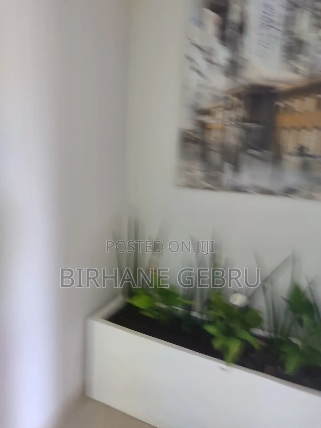 Luxury Apartiment Rent for Office