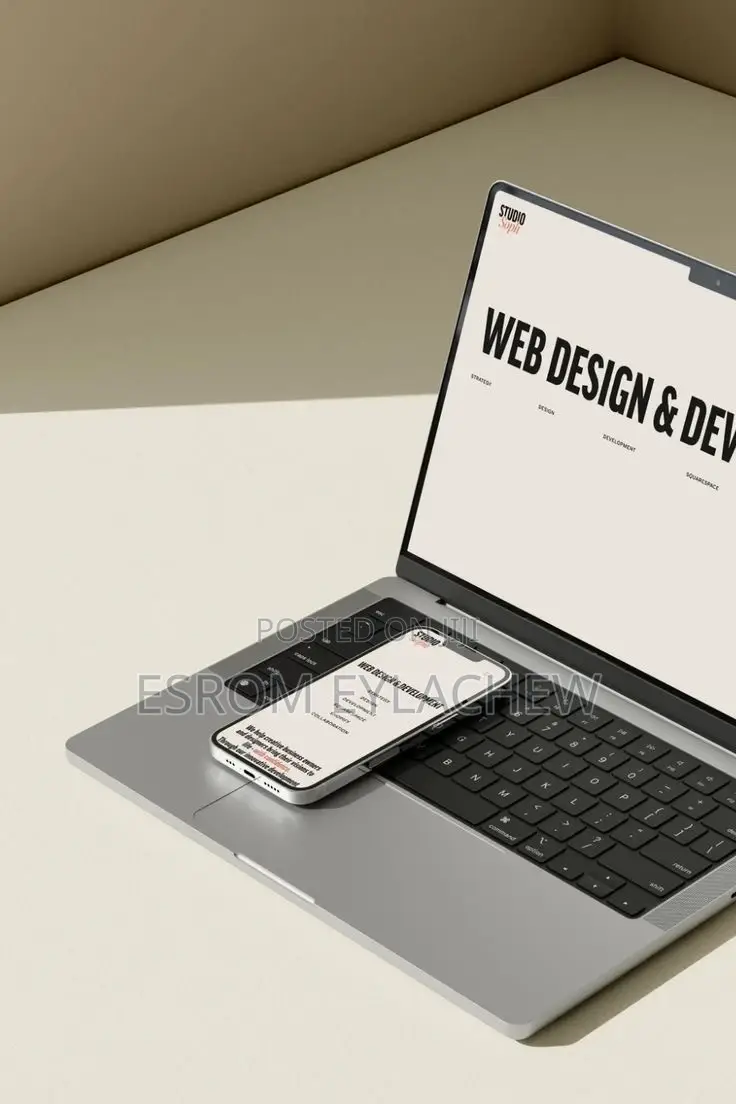 Website(Web) Developer