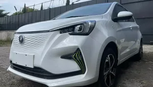 New Changan BenBen E-Star 32 kWh FWD 2024 White