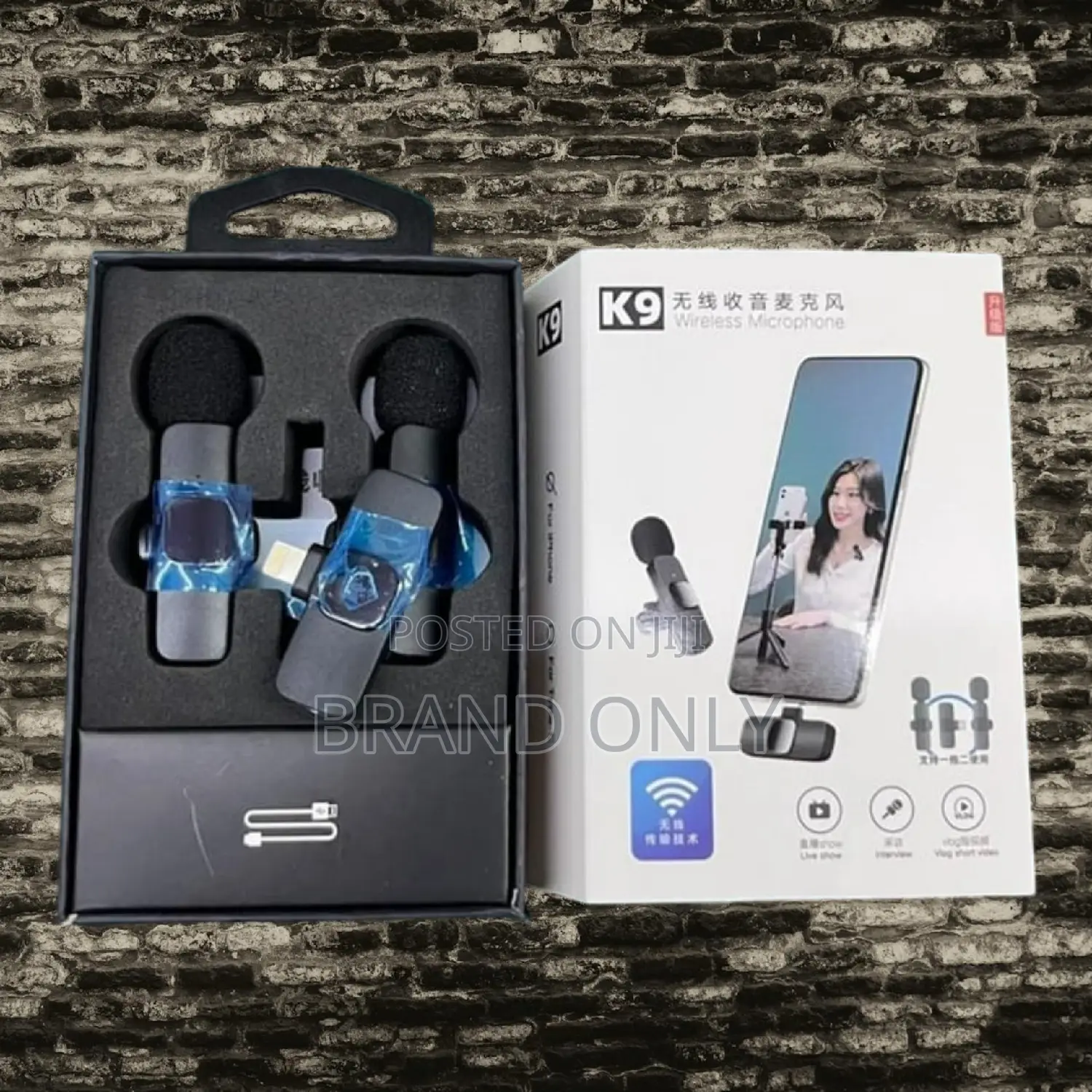  Dual Smart Mic Affordable Choice