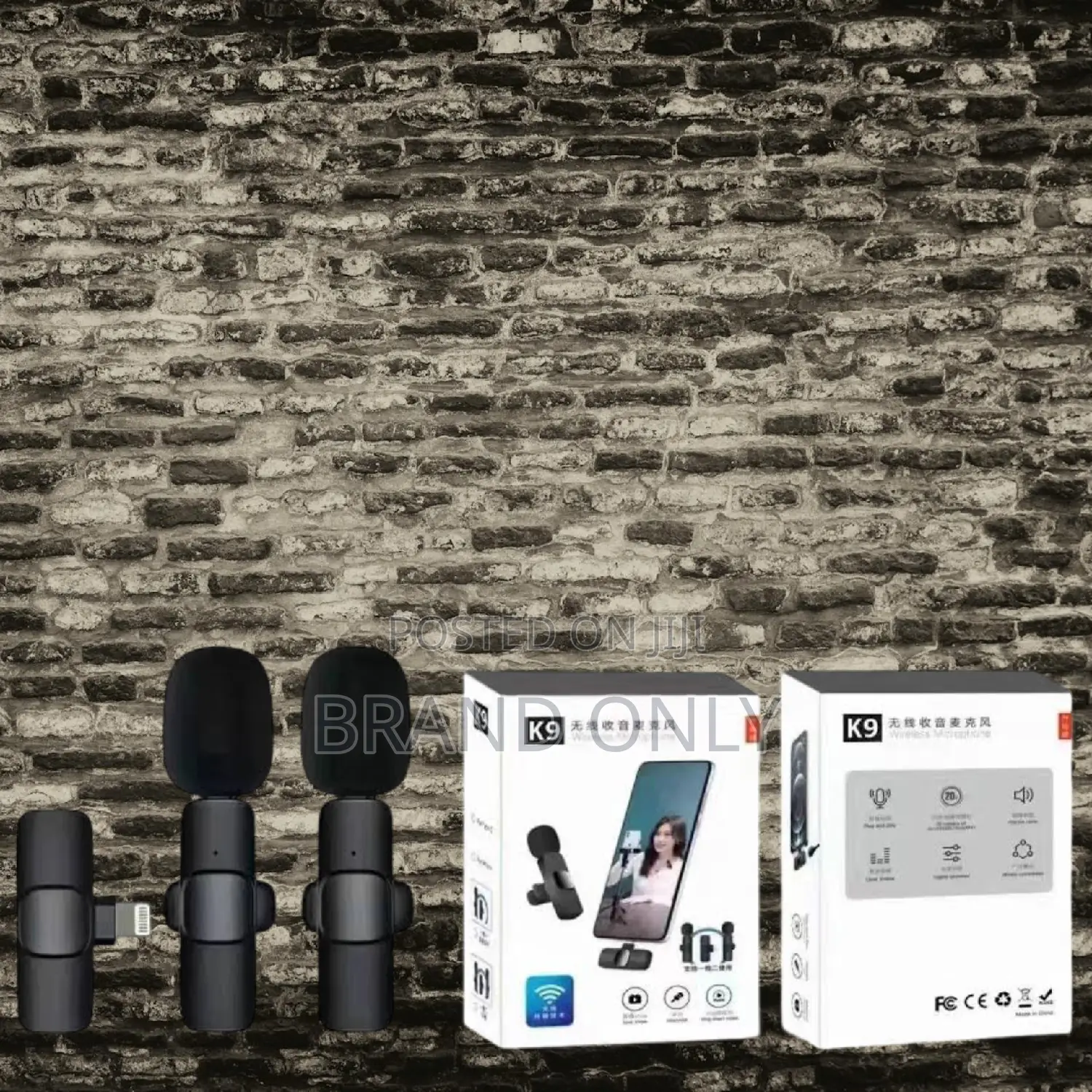  Dual Smart Mic Compact Build