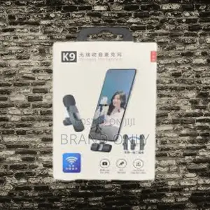 Photo -  Dual Smart Mic Professional Audio