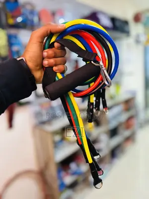 Photo - Full Body Workout Handle