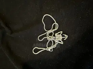 Photo - Silver Skeleton Pendant Necklace!