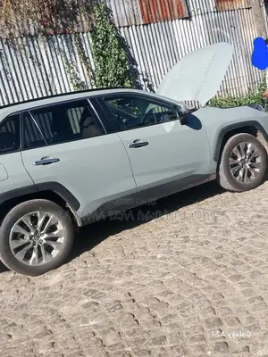 Toyota RAV4 2021 Blue