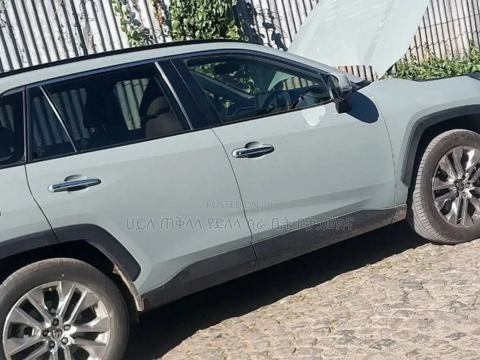 Toyota RAV4 2021 Blue