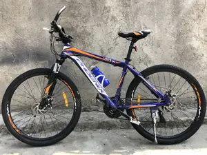 Photo - Phonix Bicycle