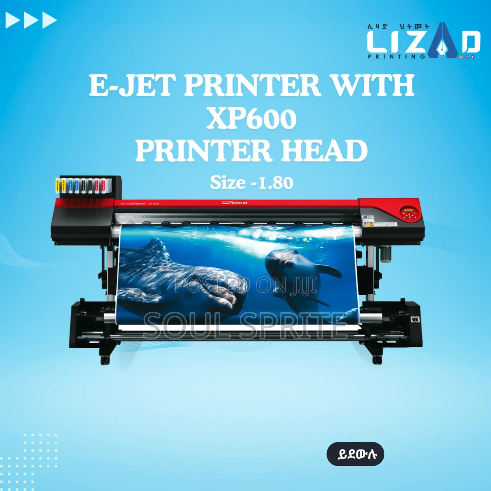 E-jet High Quality Indoor Printer