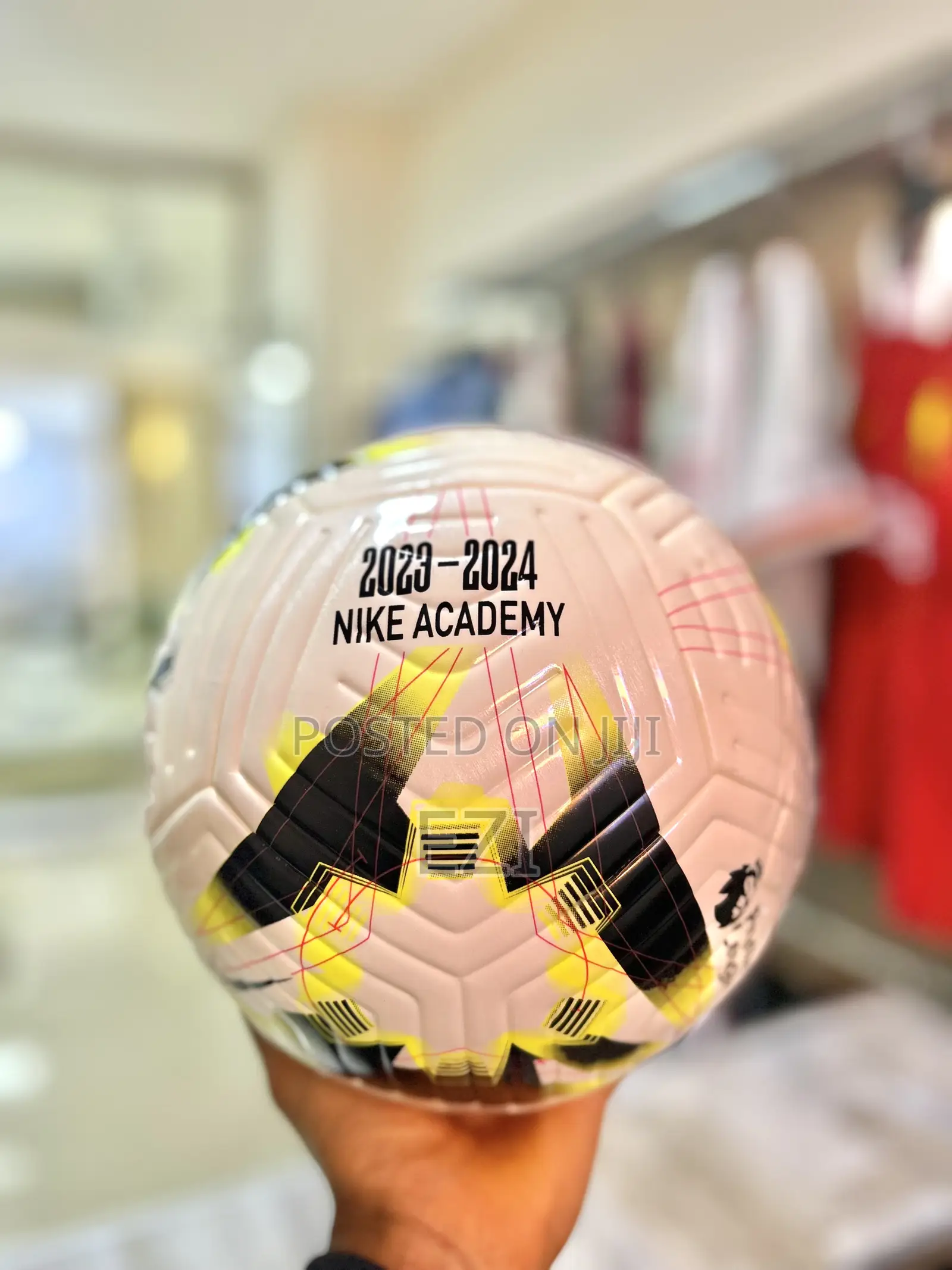 Nike Authentic Balls