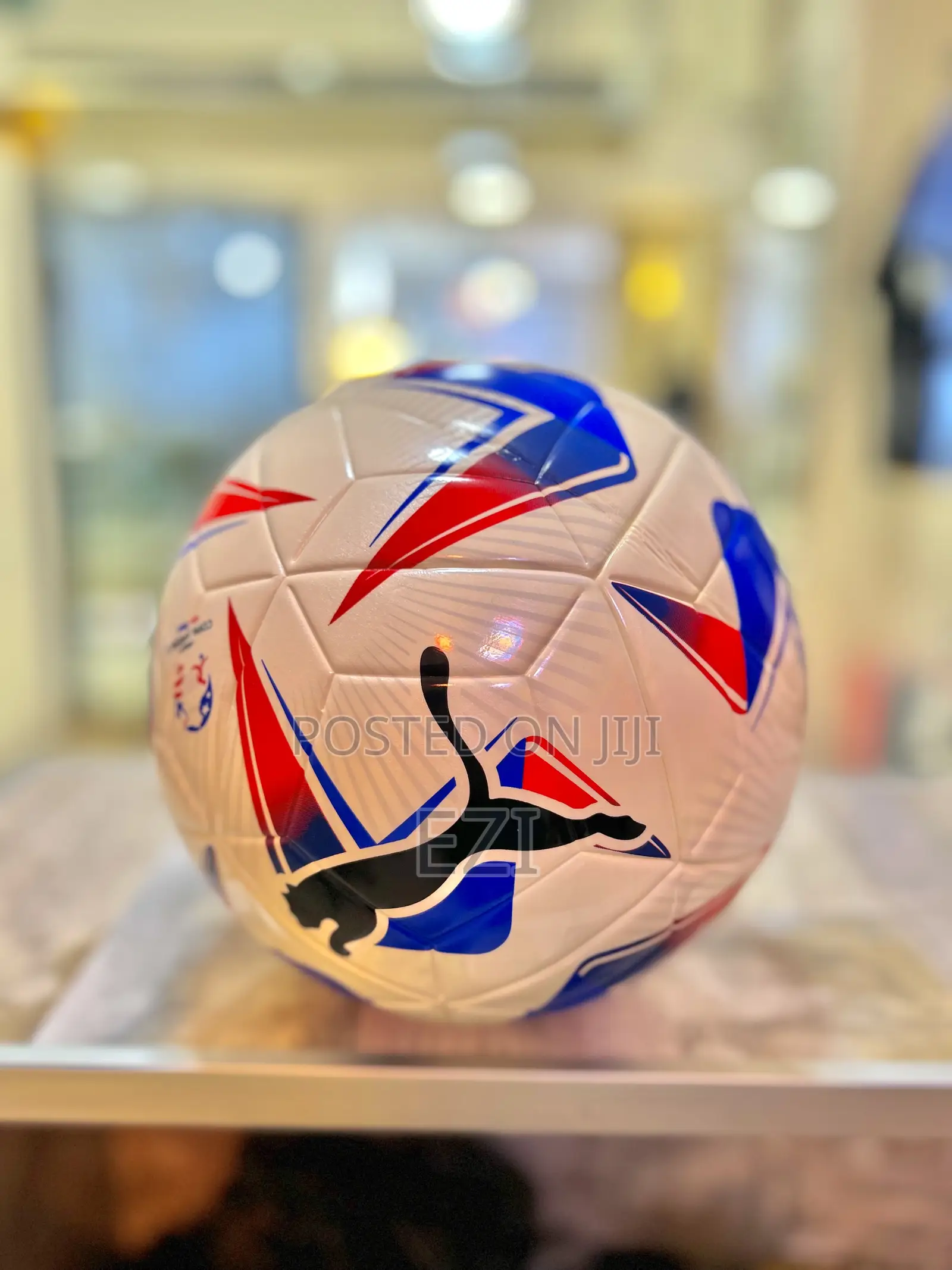 Puma Authentic Balls