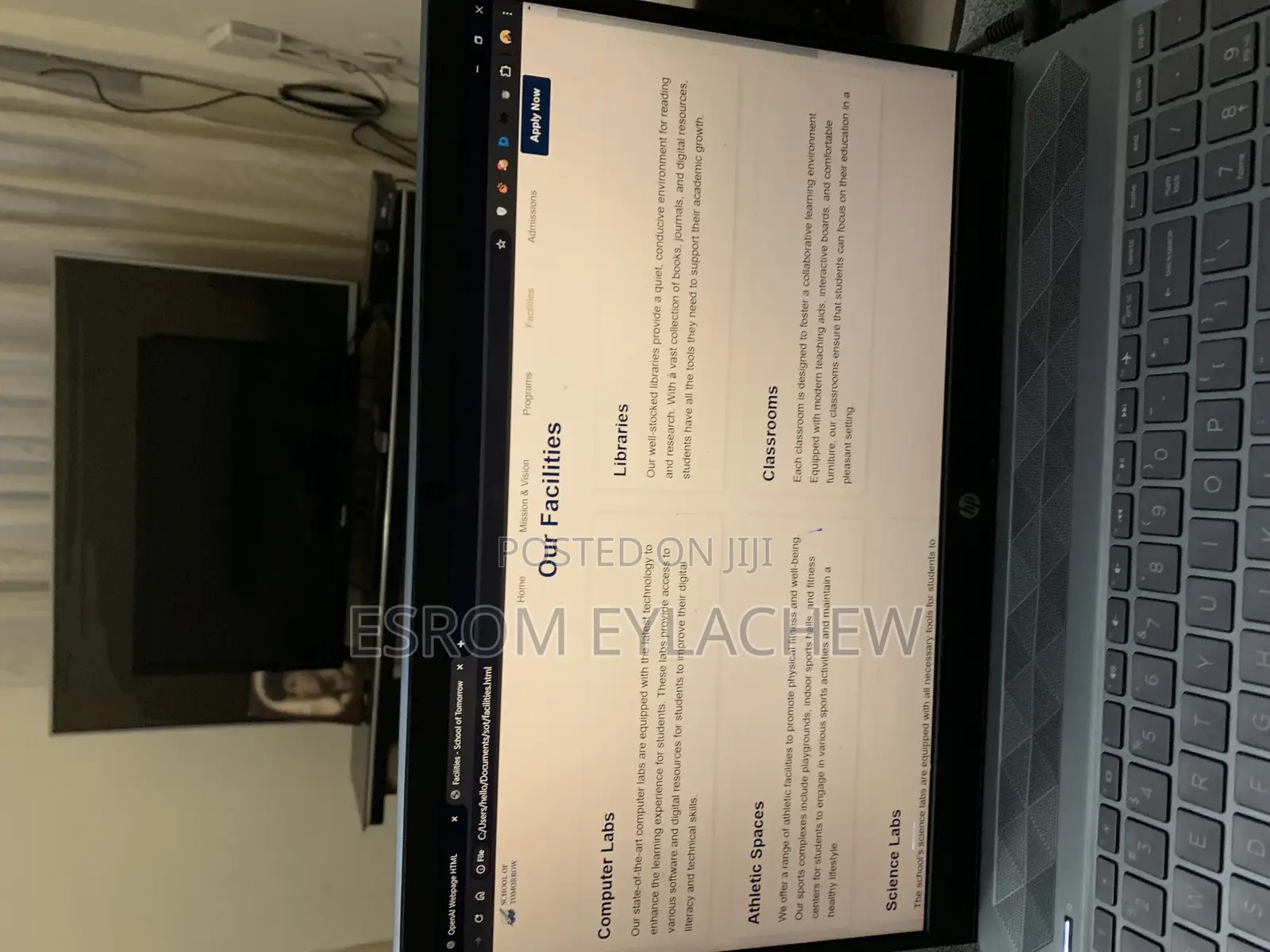 Website Development (Programming)