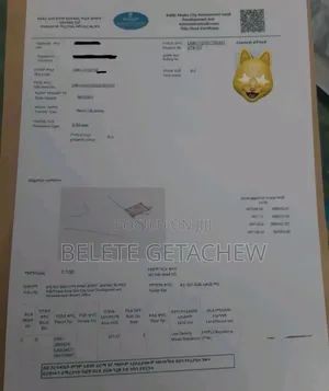 Ayat, First Slab Work for Sale, for G+4+Terrace 322sqm