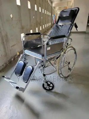 Wheelchair Commode Toilet Travel Wheelchair与ezylife Verrrryy