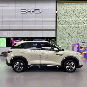 New BYD Yuan Up 45 kWh FWD 2024 Silver